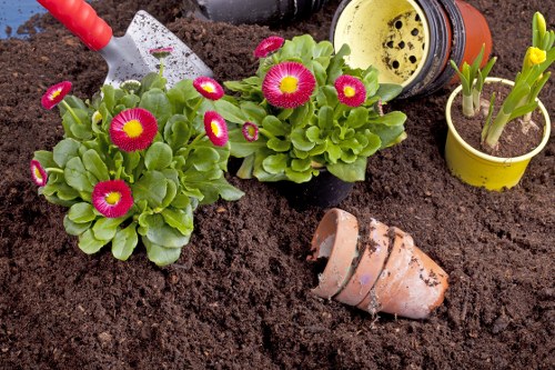 Customer complaint review for gardening service