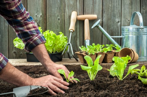 Healthy garden lawn care in Vauxhall with neat grass and edging