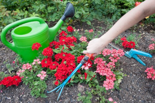 Gardening service terms and conditions introduction