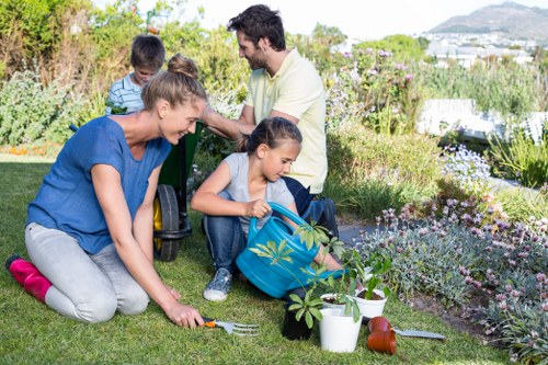 Professional garden care in Vauxhall improving outdoor space