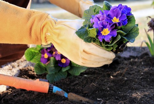 Eco-friendly gardening service improving a Vauxhall outdoor space