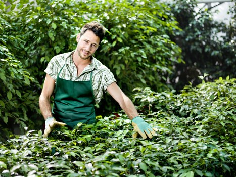 Governing law and final terms for garden services
