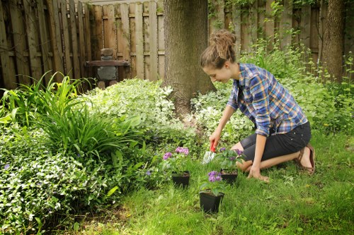 Outdoor patio maintenance and cleaning in Vauxhall
