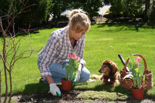 Protected gardener using equipment safely during outdoor maintenance