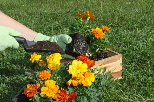 Sustainable planting and low-maintenance landscaping in Vauxhall