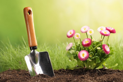 Seasonal lawn maintenance in Vauxhall with mowing and feeding