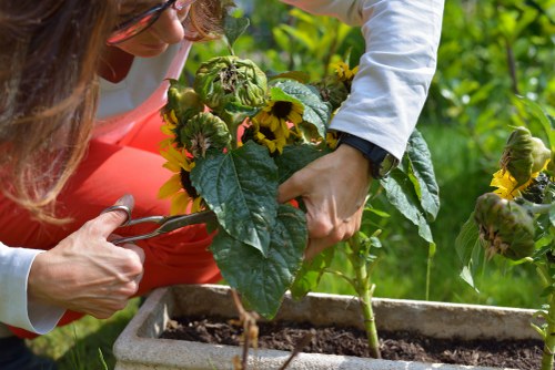 Gardening service issue assessment process